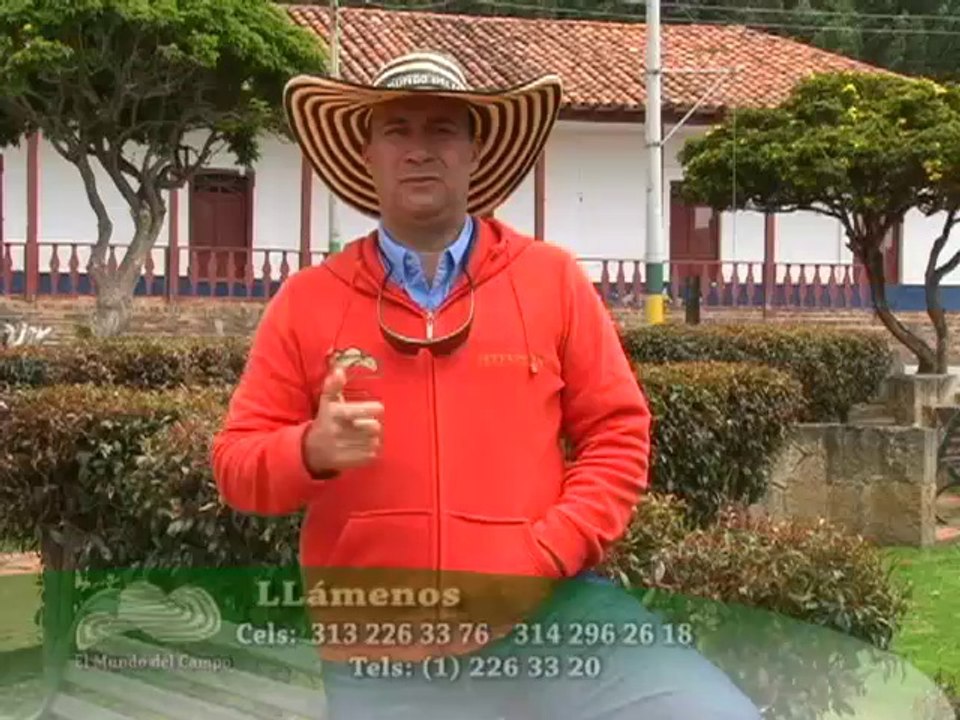 COLFE Agosto 18 de 2012