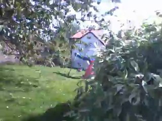 video qui fait pas peur