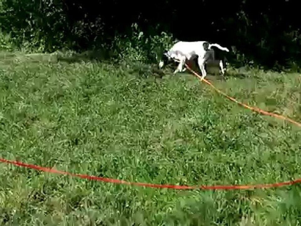 gamin et gitan 13 et 14 mois sur un pied à 10 heures(1)