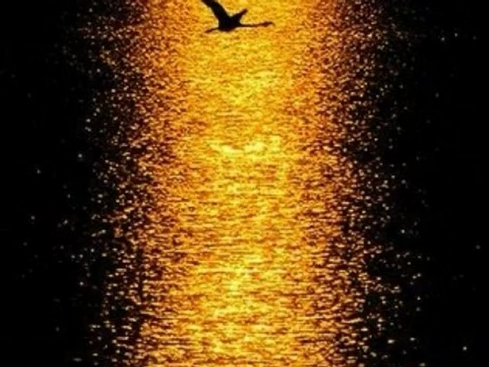 Bendeniz - Ay Işığı Şarkı