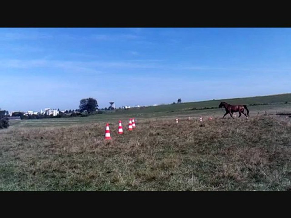 16-08-12 bonne séance