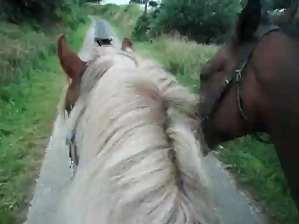 salsa et pocker