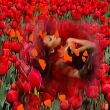 SESLİSEHİRLİ.COM TELLİ TURNAM SELAM SÖYLE YAVUZ BİNGÖL - YouTube