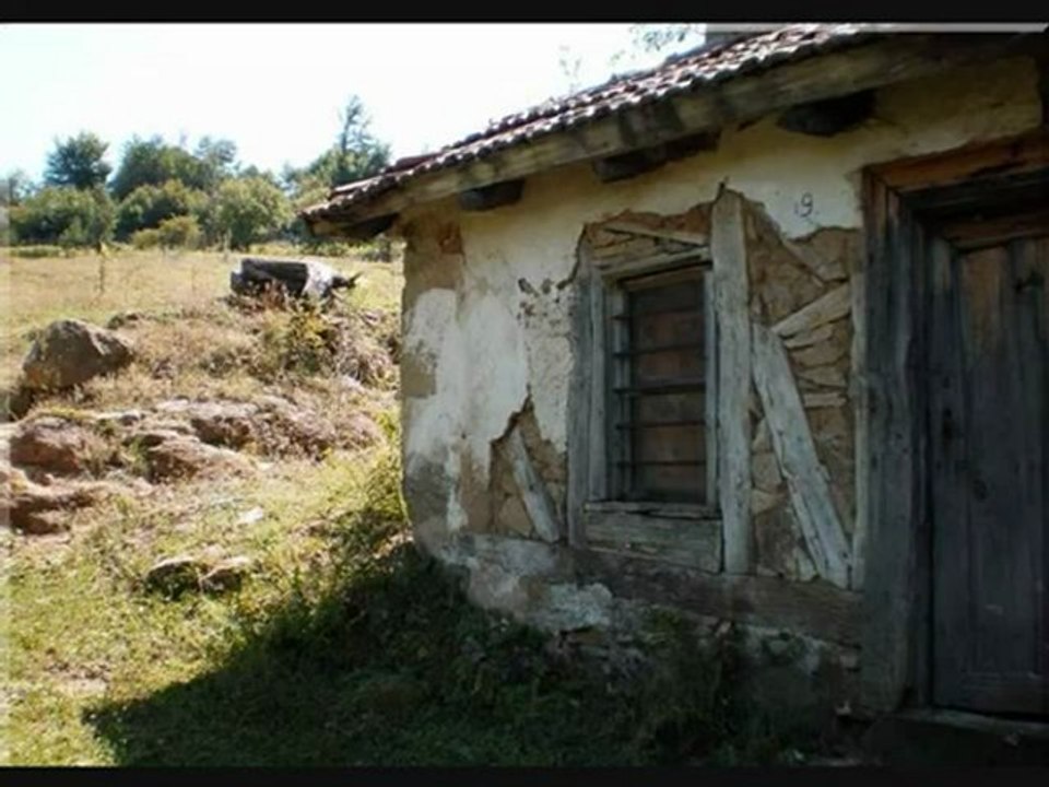 baladi iskam samo teb lubov moq