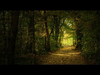 Filmmaker Terri Ti Interview