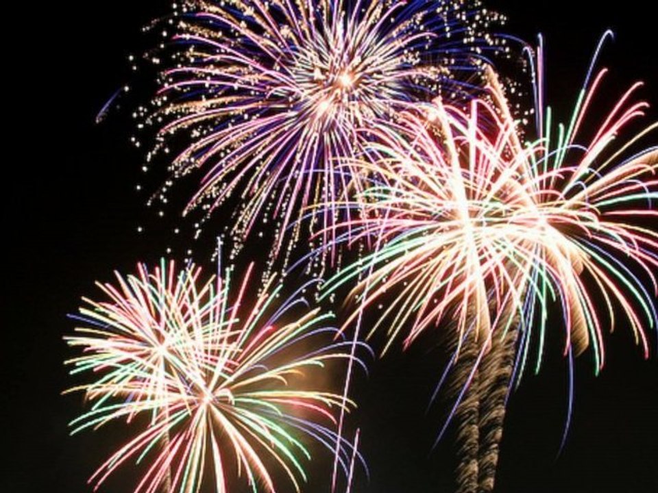 TSA List of Confiscated Items Includes Grenade Launchers, Eels