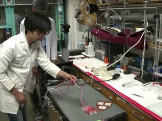 Meet squid-bot, a robot that camouflages itself