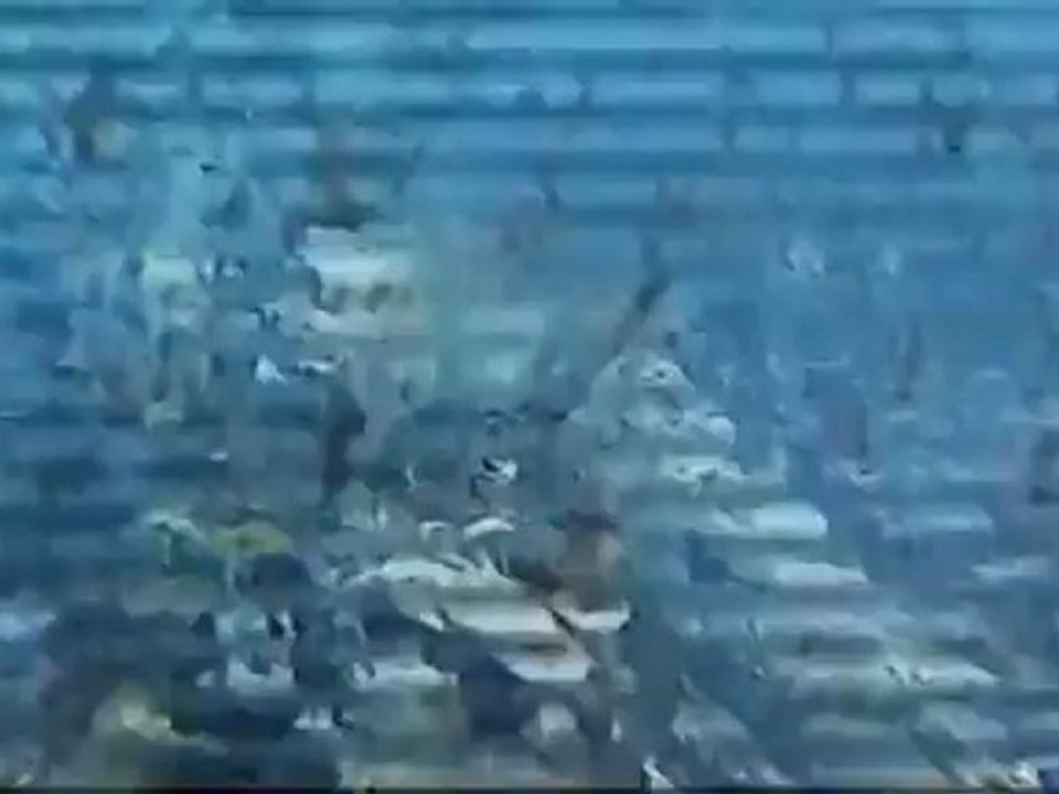 X Ray Dog - Across The World - No Choir (V)