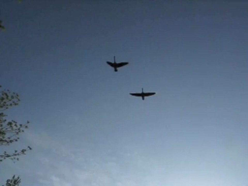 motherless child - Bob Dylan ???