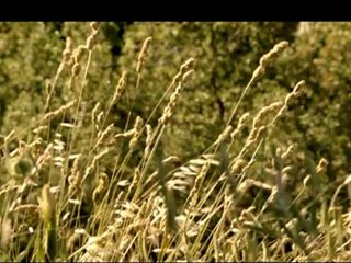 İYİ BAYRAMLAR WWW.ALUCRA.COM