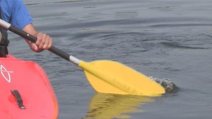 How To Row In a Straight Line