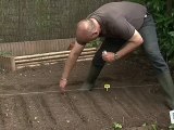 Comment semer des graines de légumes ?