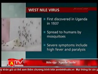 ANTÐ - Bùng phát vi rút Tây sông Nile ở Mỹ