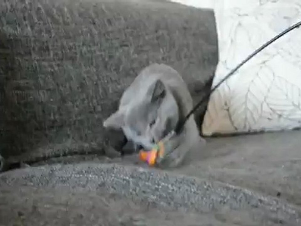 Hélian des Rives d'Estaing