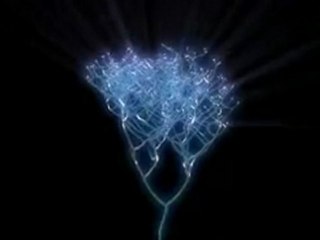 Discovering the Great Tree Of Life - Yale University