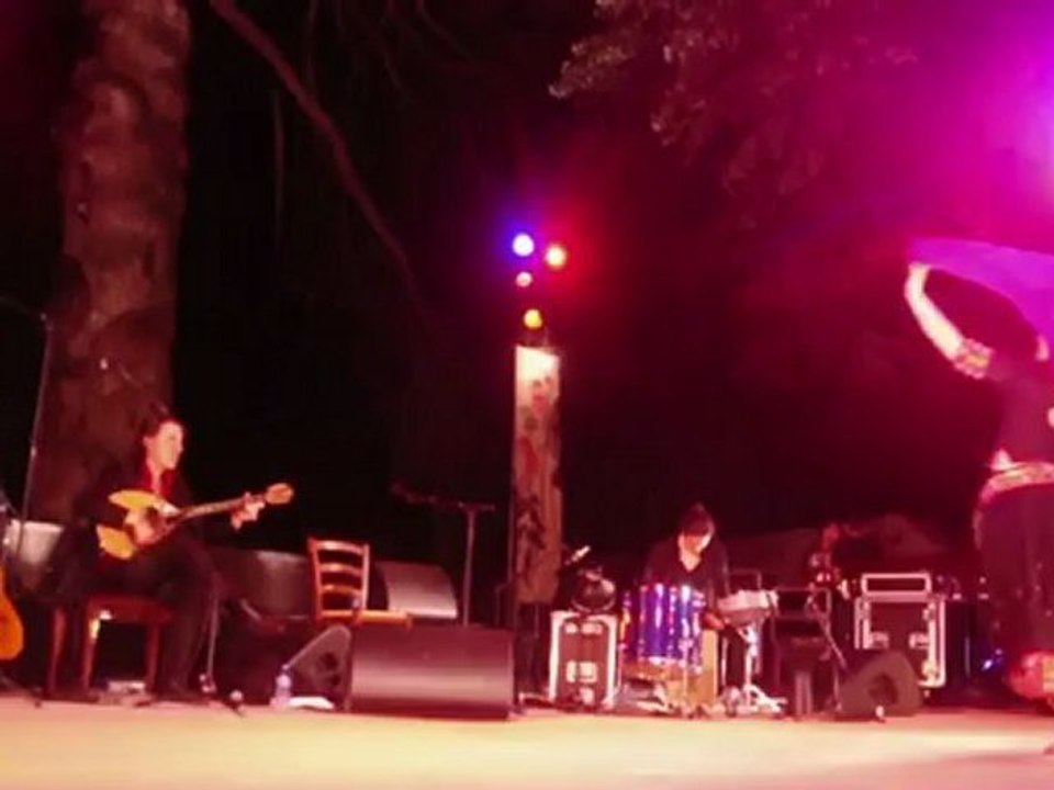 Titi Robin et le quartet Alezane en concert à l'oasis Bizz'Art (2)