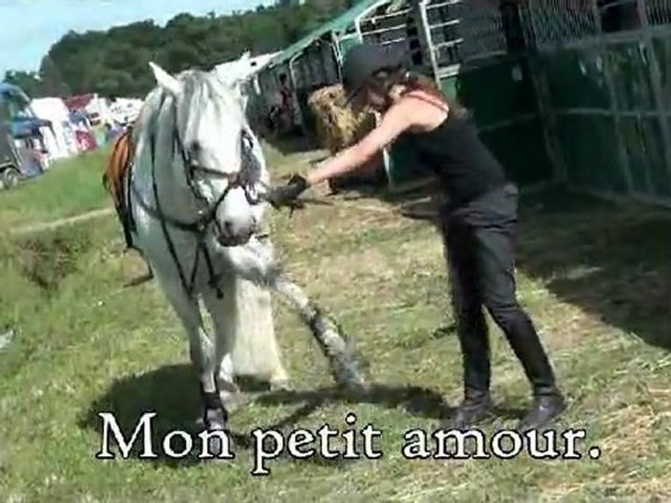 Lamotte 2012 - CSO Ourigan