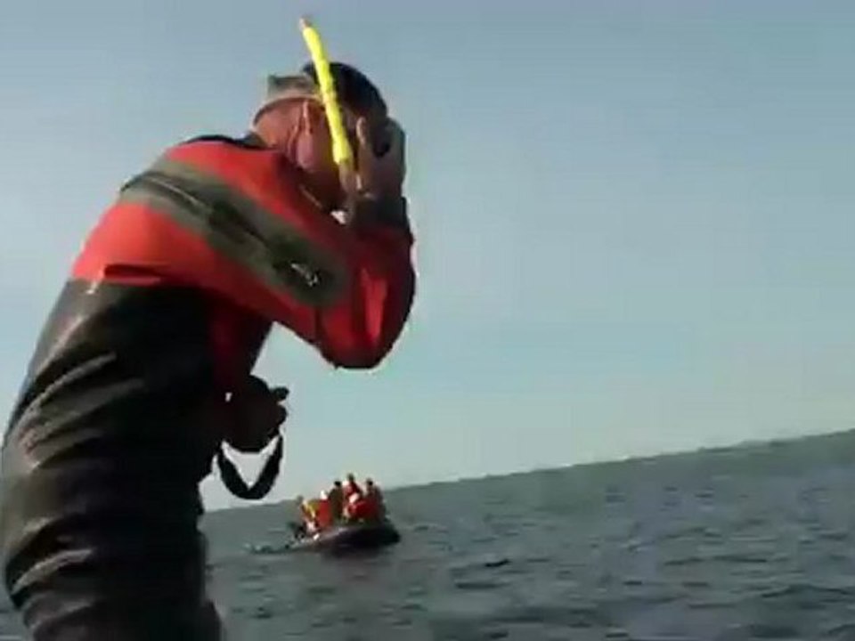A Rare Underwater Visit With Beluga's
