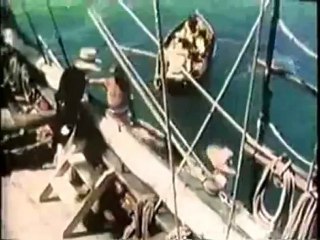 The Voyage Of Charles Darwin 5 - (I felt myself brought within reach of that great fact, that mystery of mysteries)