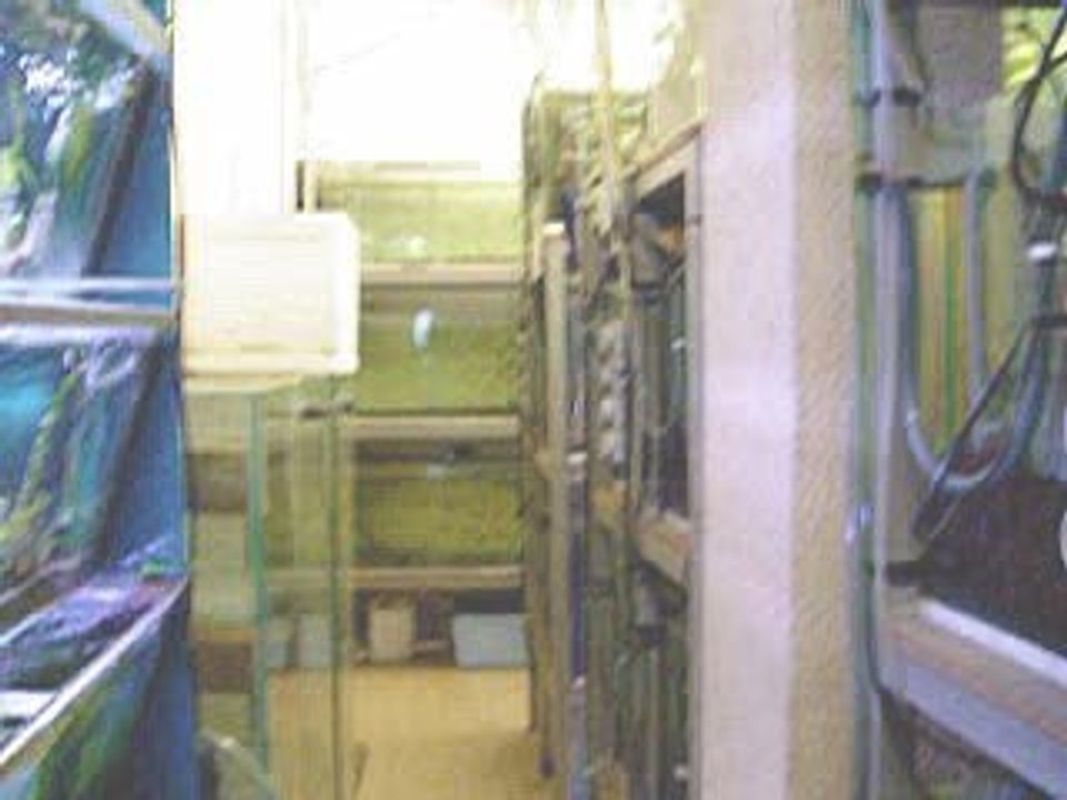 Visite chez EURL poissons exotiques