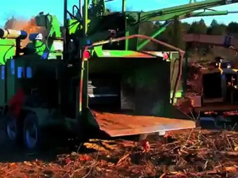 Stump Grinding & Land Clearing in Nashville TN