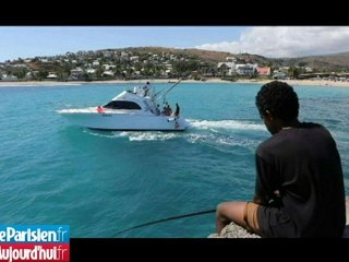 Pourquoi le défenseur des requins brave le danger