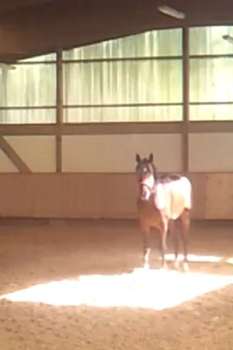 video-2012-08-17-13-03-15