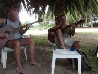 jolie melodie sous les palmiers