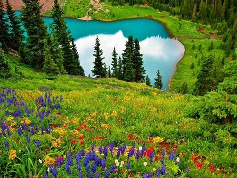 3 beauutiful surats ikhlas falaq naas