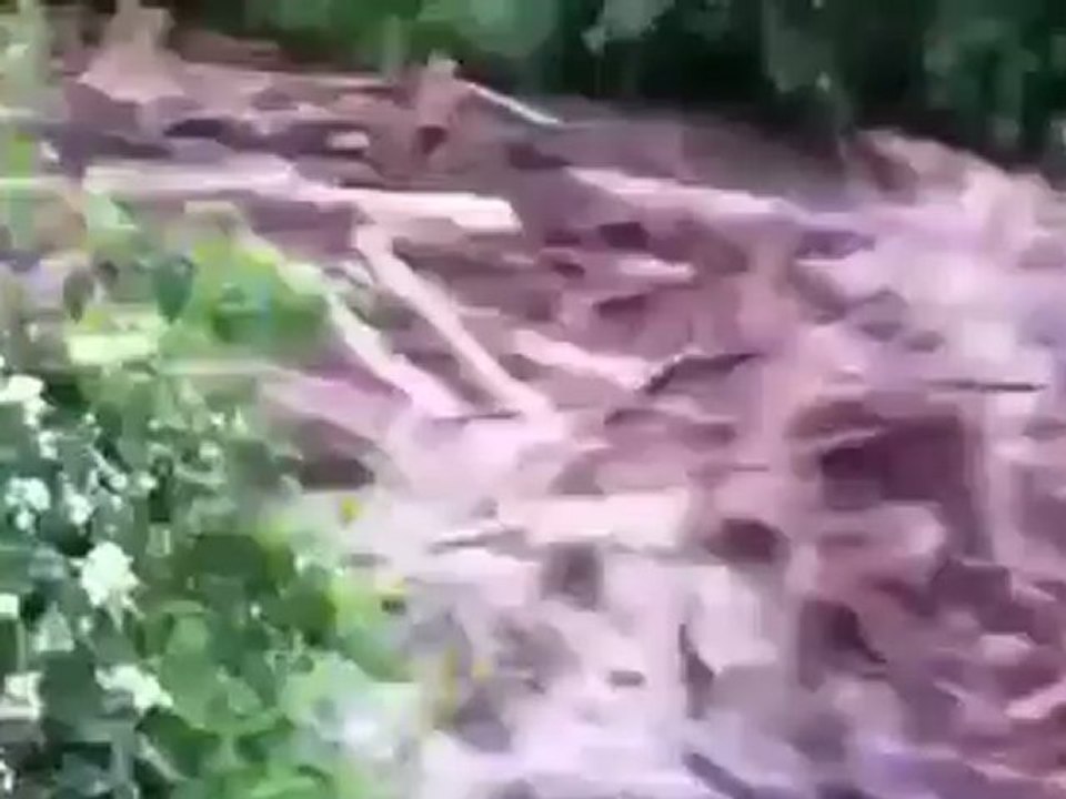 Швейцария. После дождика