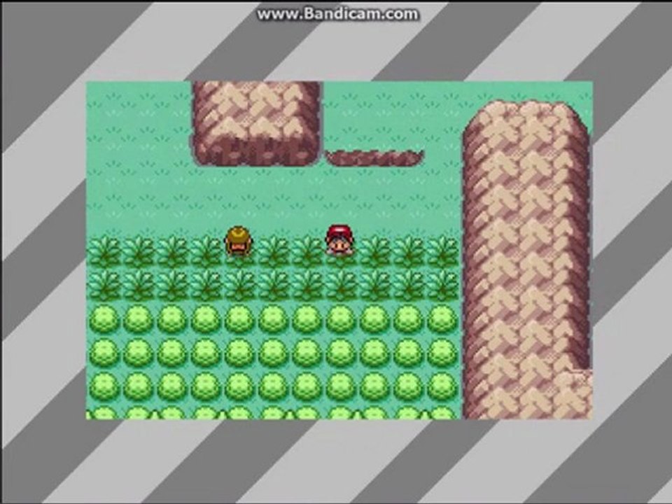 4) Pokemon Global Revolution - La route 3