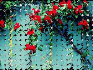 Gözlerin Kaybolduğum Yar Şiir:Bayram Aktaş Yorum:Abdulkerim Tiryaki