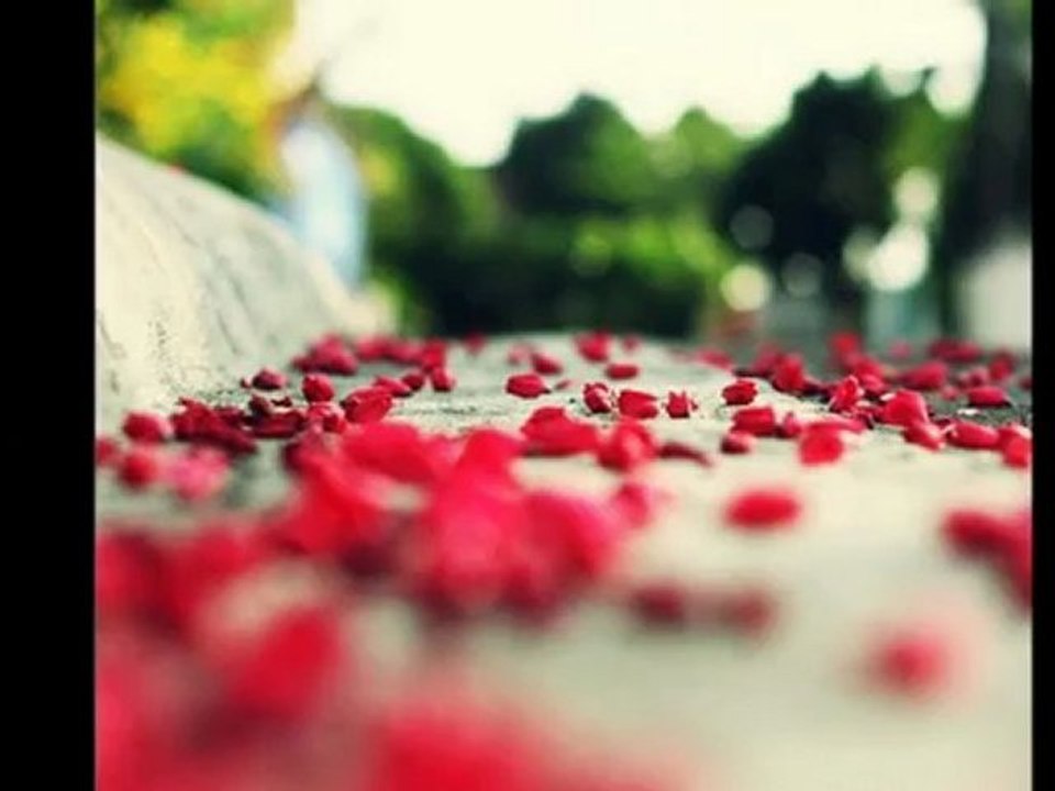 Gittin Yarim Şiir:Bayram Aktaş Yorum:Abdulkerim Tiryaki