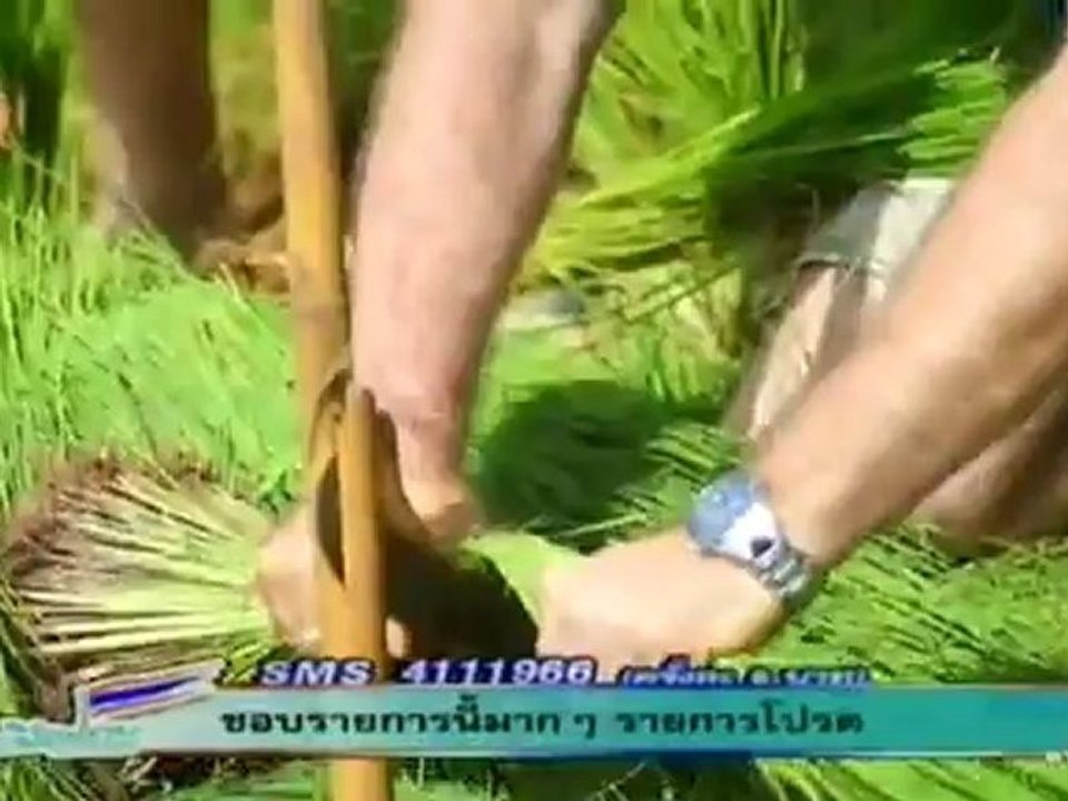 i love thailand 190812