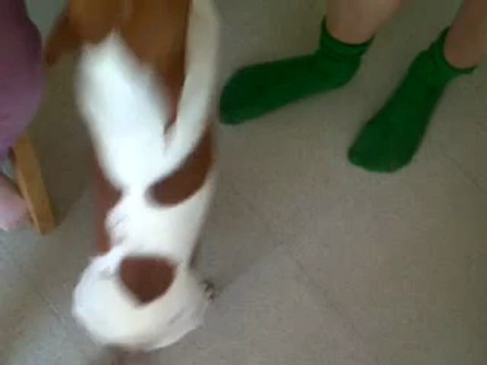 VID-20120421-00007
