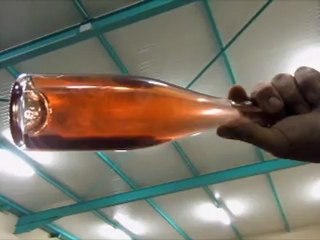 (51) Festigny Ville et Neuville Festigny Le Champagne chez M Mme Berthelot Piot Cave et caveau