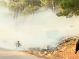 Fires consumes acres of pristine Greek forest.