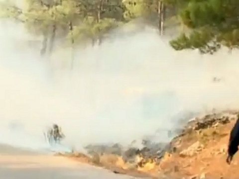 Fires consumes acres of pristine Greek forest.