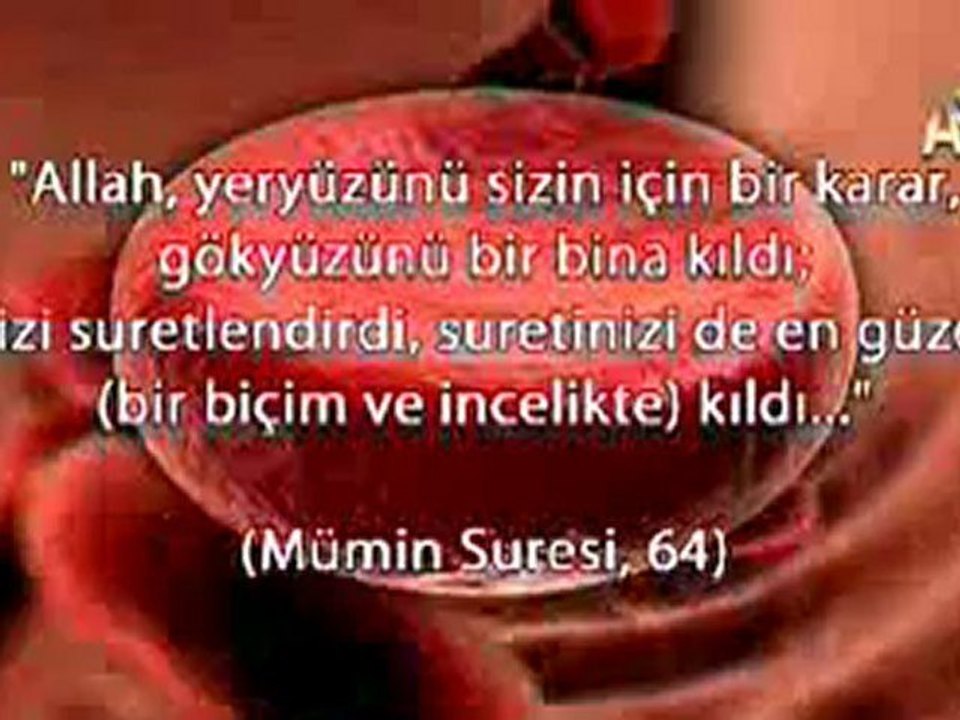 Vücudumuzu Zehirlenmekten Koruyan Özel Sistem