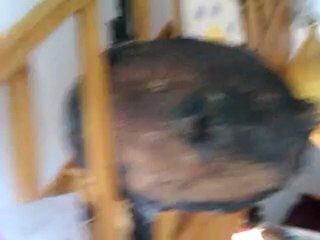 APO_2012: Liquidation Totale