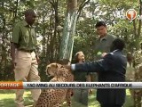 Kenya : Yao Ming au secours des éléphants d’Afrique