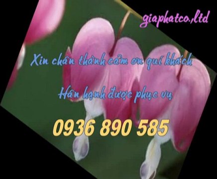 Sửa chữa điện nước tại quận 1 tphcm call 0907 323 053