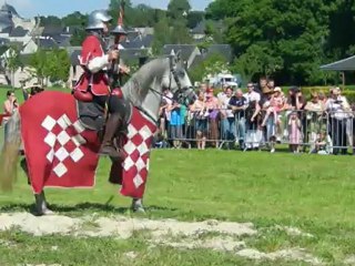 joutes équestres
