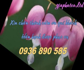 Sửa chữa điện nước tại quận 1 tphcm rẻ call 0907 323 053