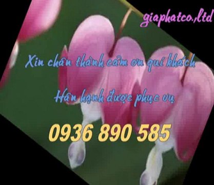 Sửa chữa điện nước tại quận 1 tphcm rẻ call 0907 323 053