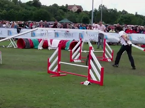 Taiga, epagneul breton, agility, GPF 2012, Manche 3