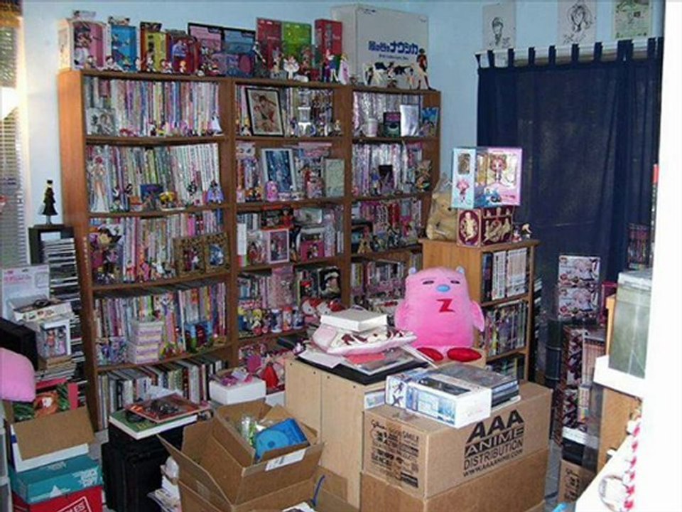 Procoder 3 by Canopus Best Sale Black Friday