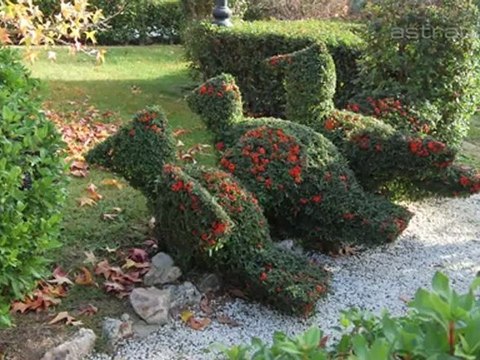 Limpieza Pamares - Empresa de Servicios Integrales - Las Rozas