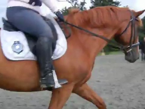 Cours Beslé (trot) aout 2012