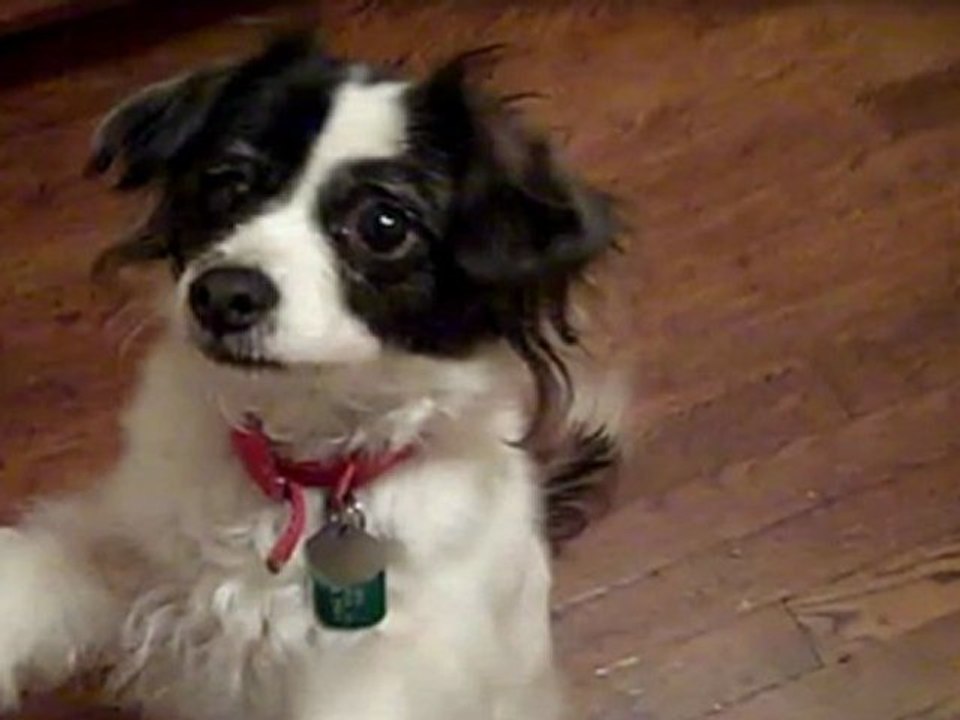 simple_tube_profits_James_Weston